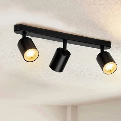 Fleur Adjustable Multi-Head Track Spotlight
