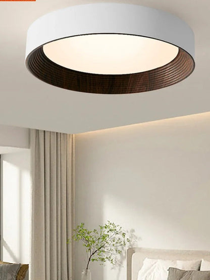 Amélie Minimal Luxe Ceiling Light