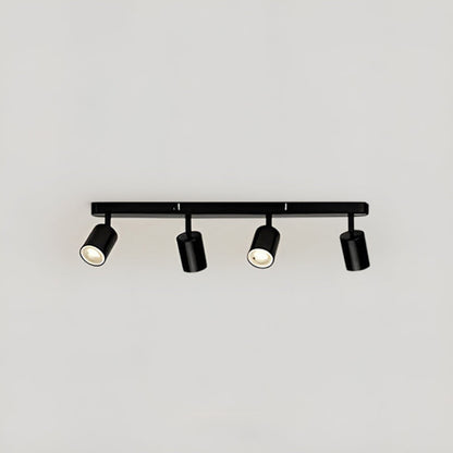 Fleur Adjustable Multi-Head Track Spotlight
