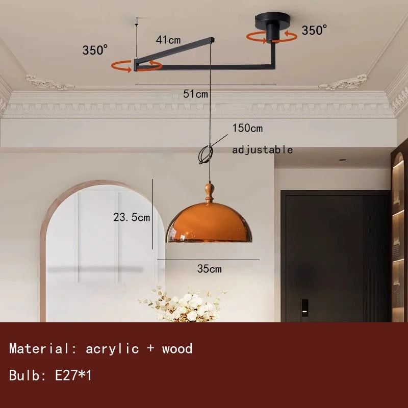 Camille Brown Acrylic Wood Pendant Light