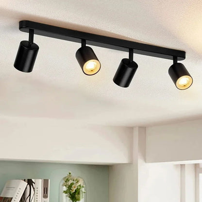 Fleur Adjustable Multi-Head Track Spotlight